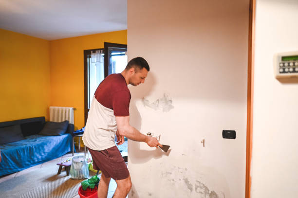 Best Fast Mold Removal  in Long Prairie, MN
